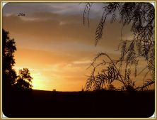 puesta de sol en huerta gde.jpg